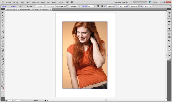 Cortar una Imagen en Adobe Illustrator 005